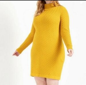 Eloquii turtle neck sweater dress.